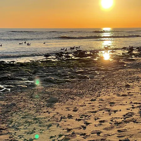 Les 4 Belles Maison Ile De Ré Sainte-Marie-de-Ré