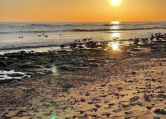 Les 4 Belles Maison Ile De Ré Sainte-Marie-de-Ré